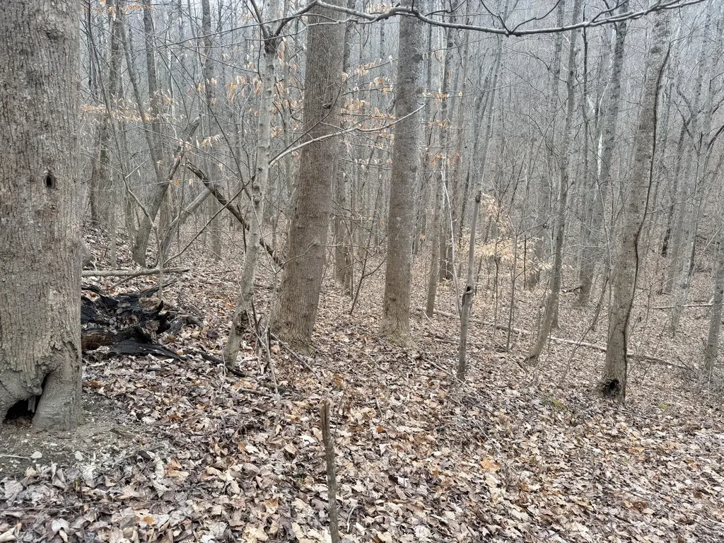 1290 Highway 3249 Stanford KY 40484