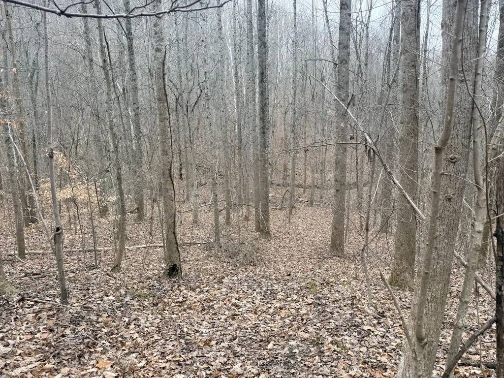 1290 Highway 3249 Stanford KY 40484