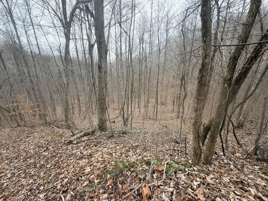 1290 Highway 3249 Stanford KY 40484