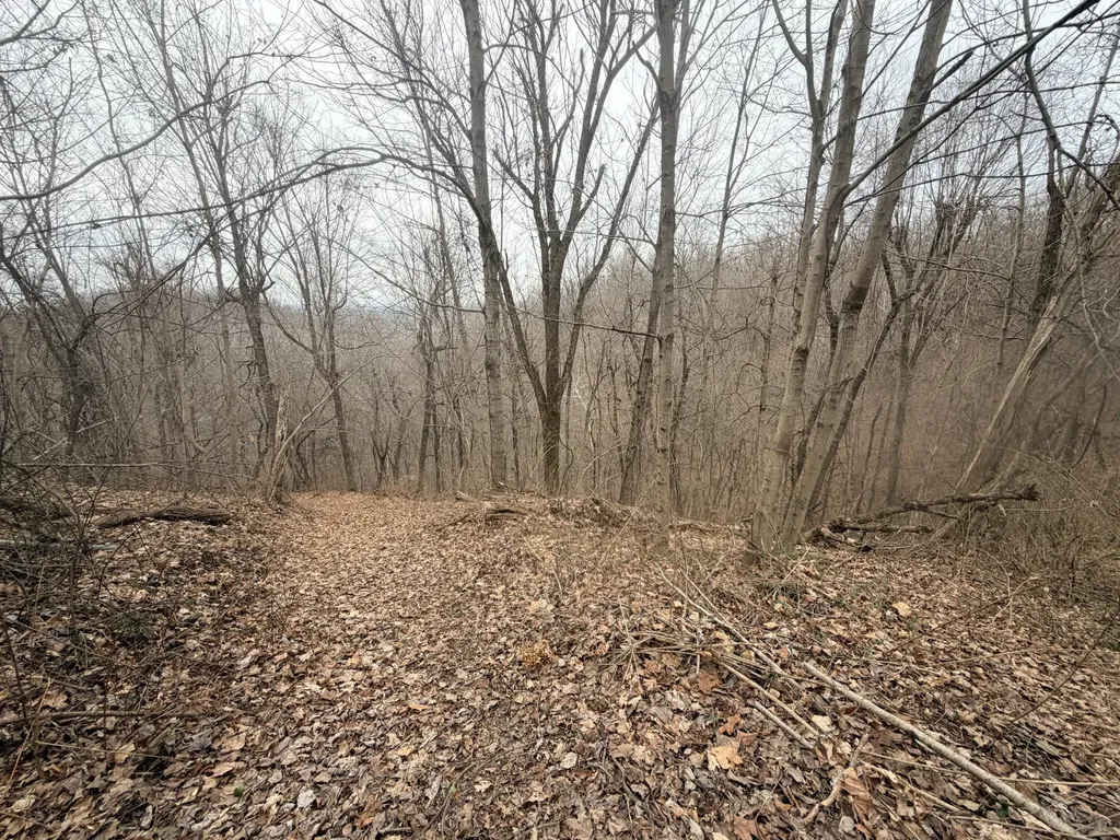 1290 Highway 3249 Stanford KY 40484