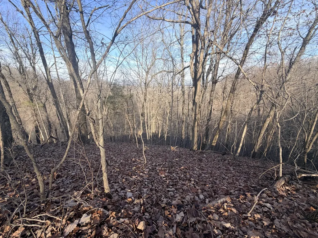 1290 Highway 3249 Stanford KY 40484