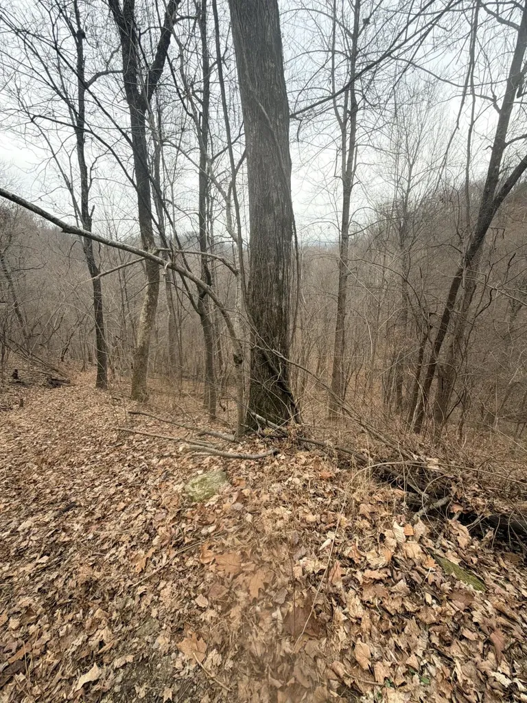 1290 Highway 3249 Stanford KY 40484