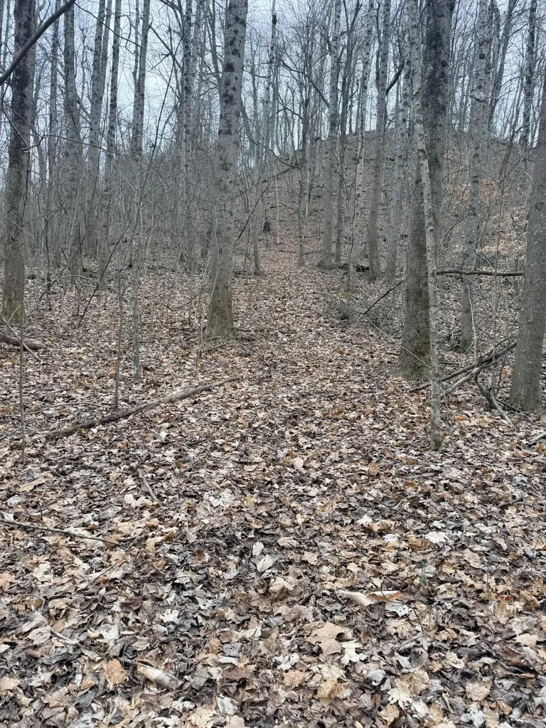 1290 Highway 3249 Stanford KY 40484