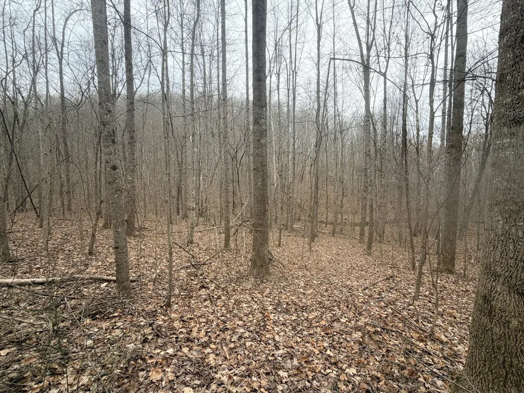 1290 Highway 3249 Stanford KY 40484