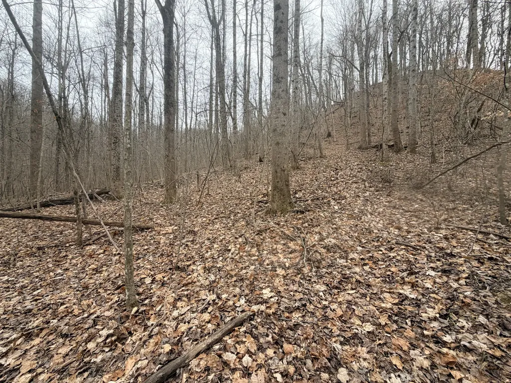 1290 Highway 3249 Stanford KY 40484