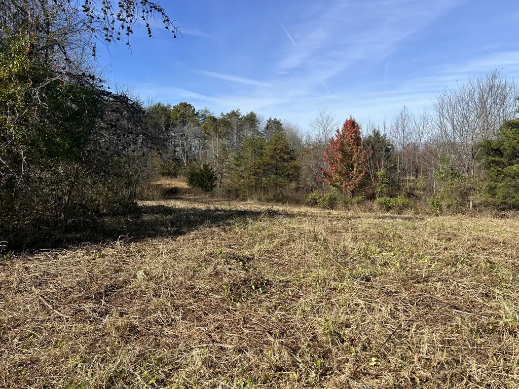 1297 Ky-191 West Liberty KY 41472