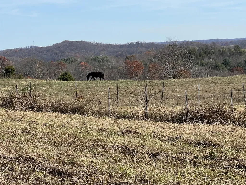 1297 Ky-191 West Liberty KY 41472