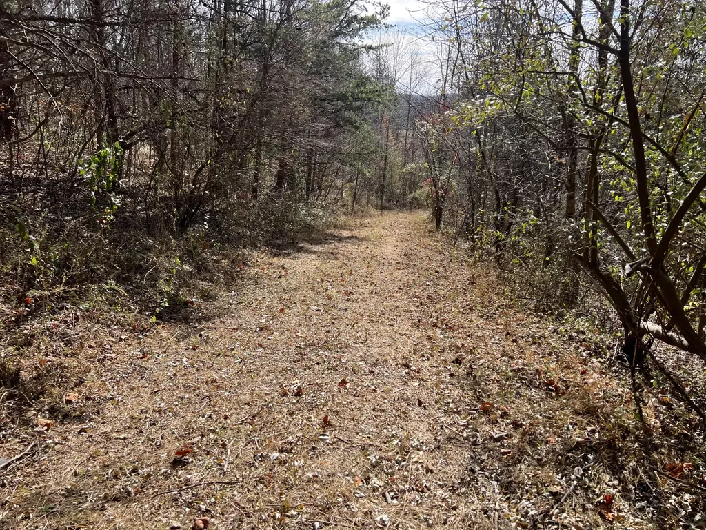1297 Ky-191 West Liberty KY 41472