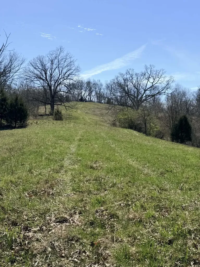 1A Crooked Creek Road Carlisle KY 40311