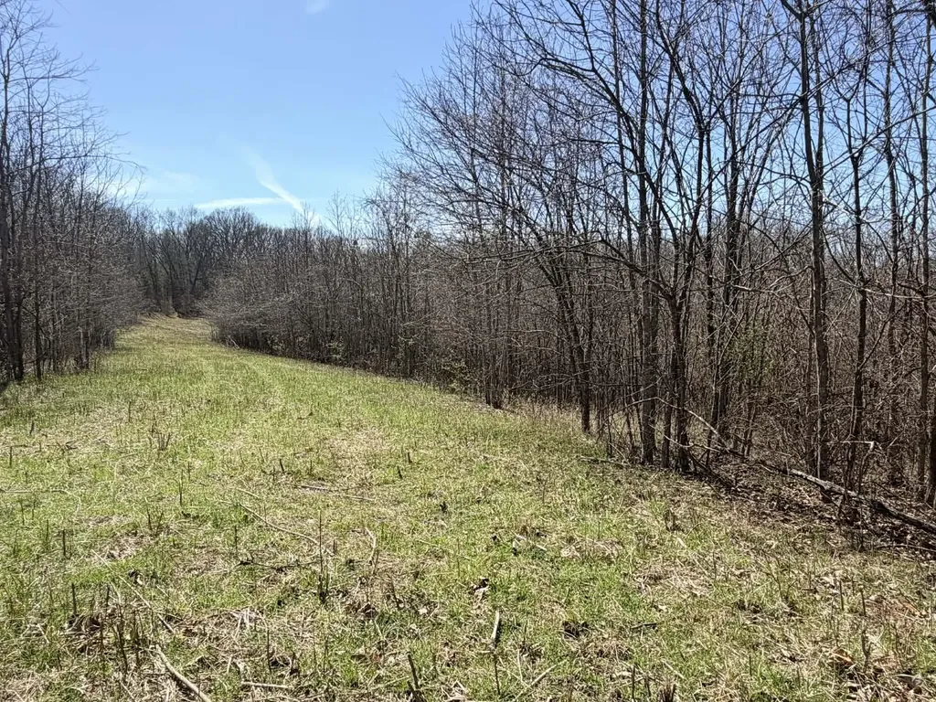 1A Crooked Creek Road Carlisle KY 40311