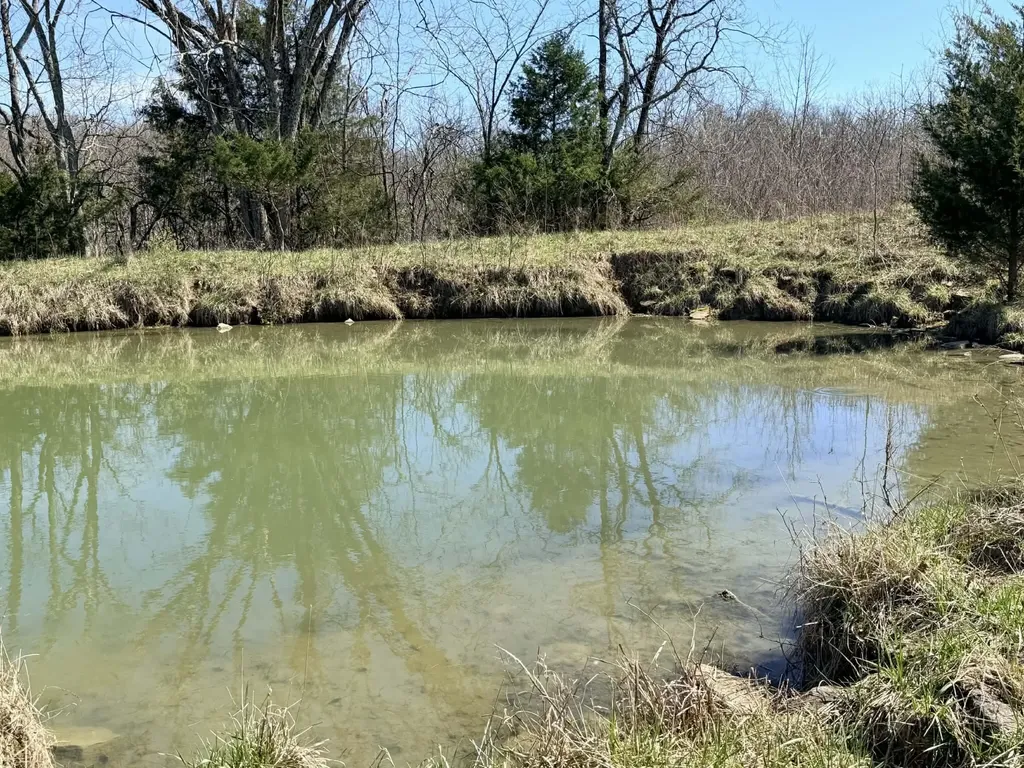 1A Crooked Creek Road Carlisle KY 40311