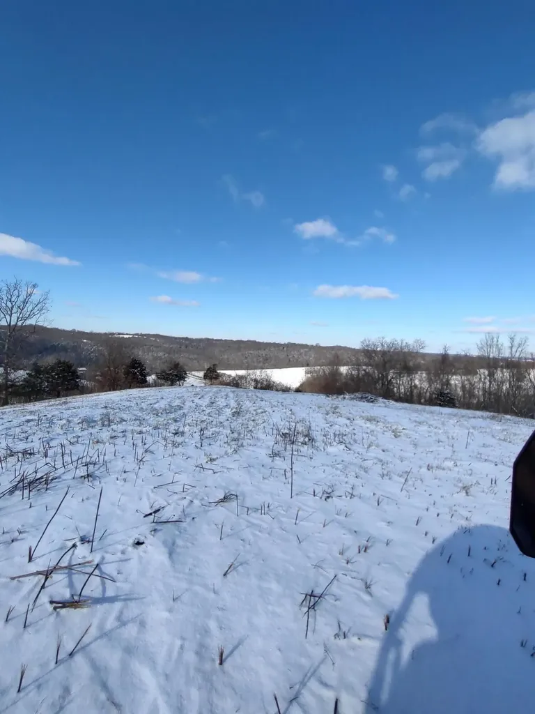 1A Crooked Creek Road Carlisle KY 40311