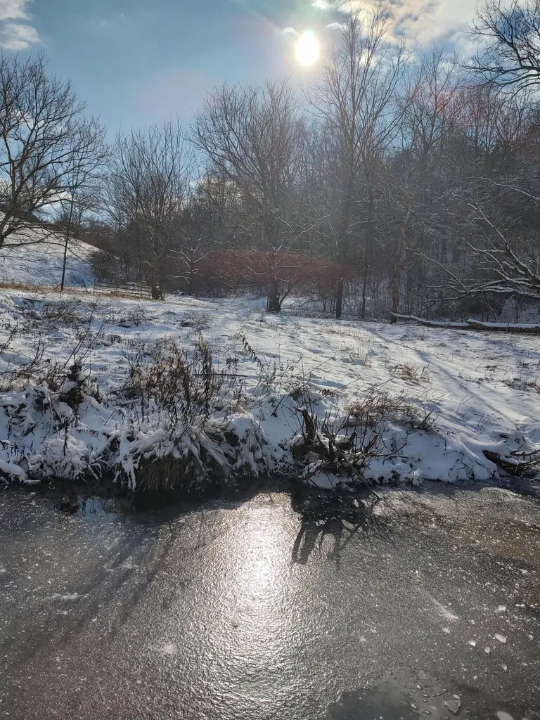 1A Crooked Creek Road Carlisle KY 40311