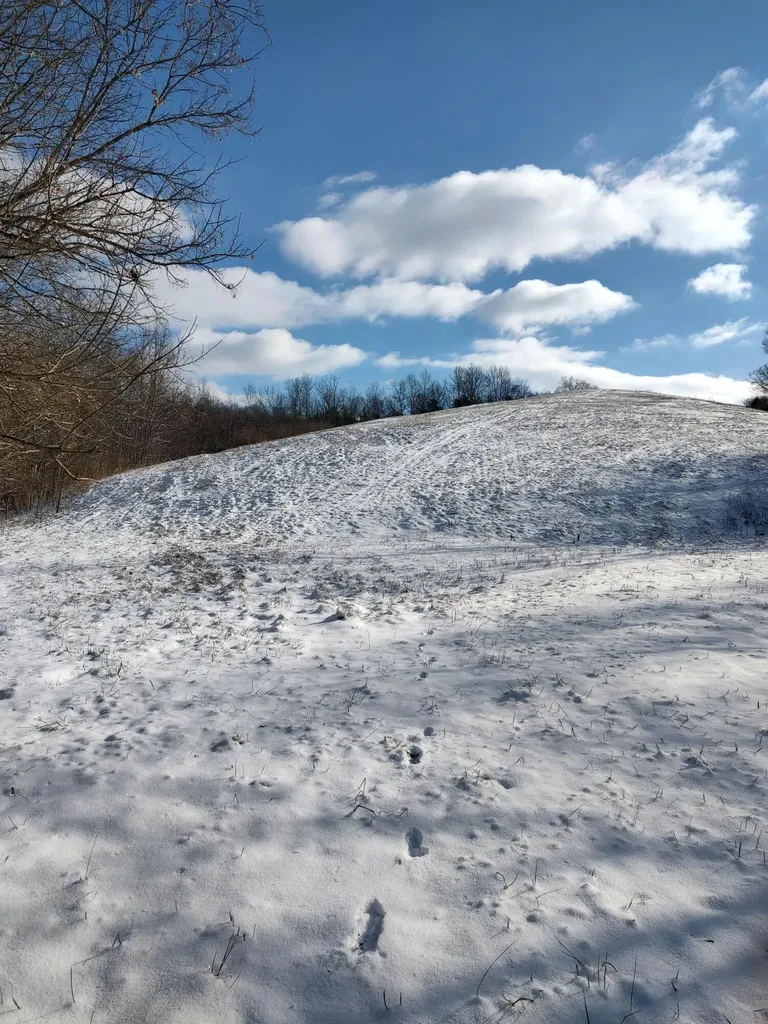 1A Crooked Creek Road Carlisle KY 40311