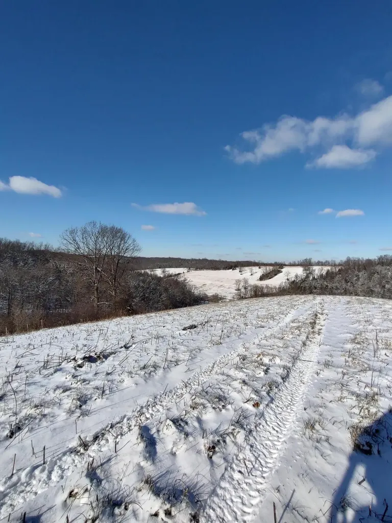 1A Crooked Creek Road Carlisle KY 40311