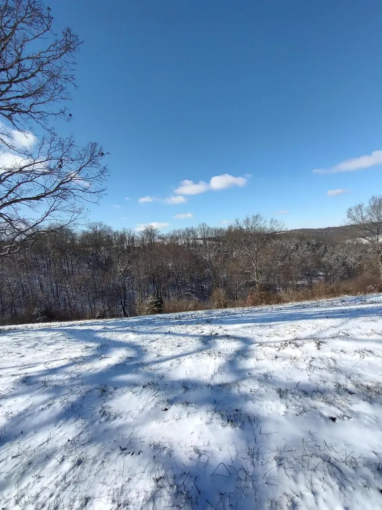 1A Crooked Creek Road Carlisle KY 40311