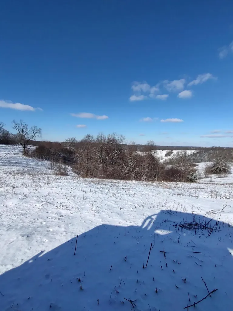 1A Crooked Creek Road Carlisle KY 40311