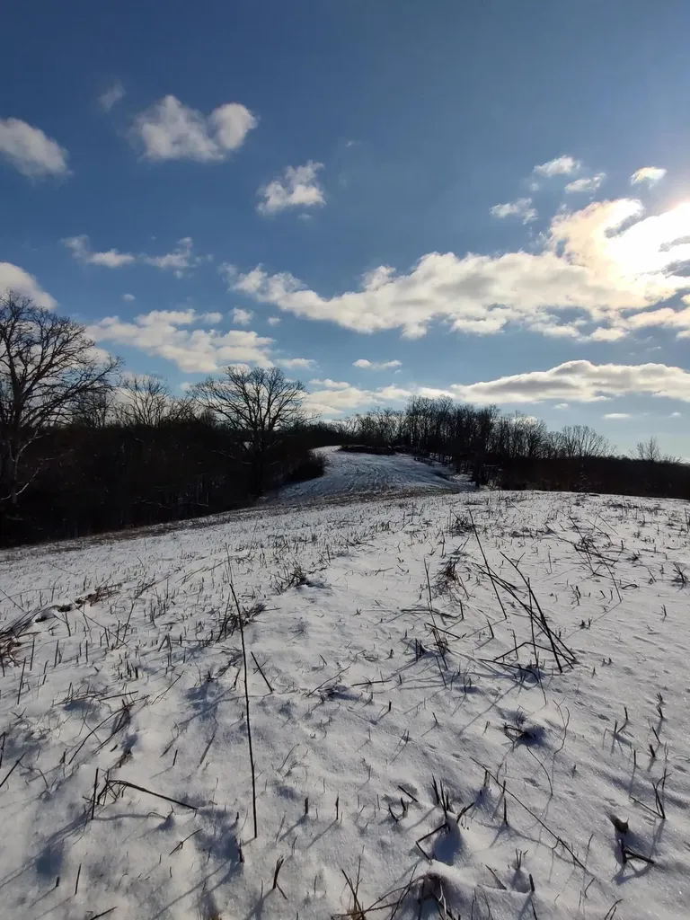 1A Crooked Creek Road Carlisle KY 40311