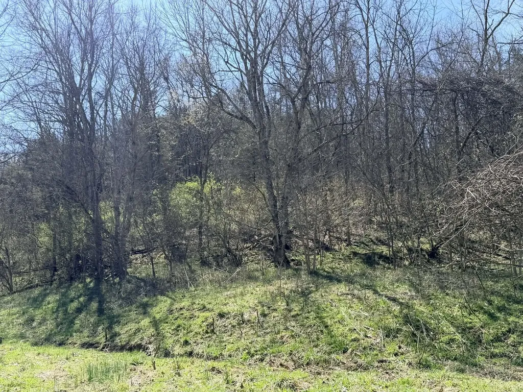 1A Crooked Creek Road Carlisle KY 40311