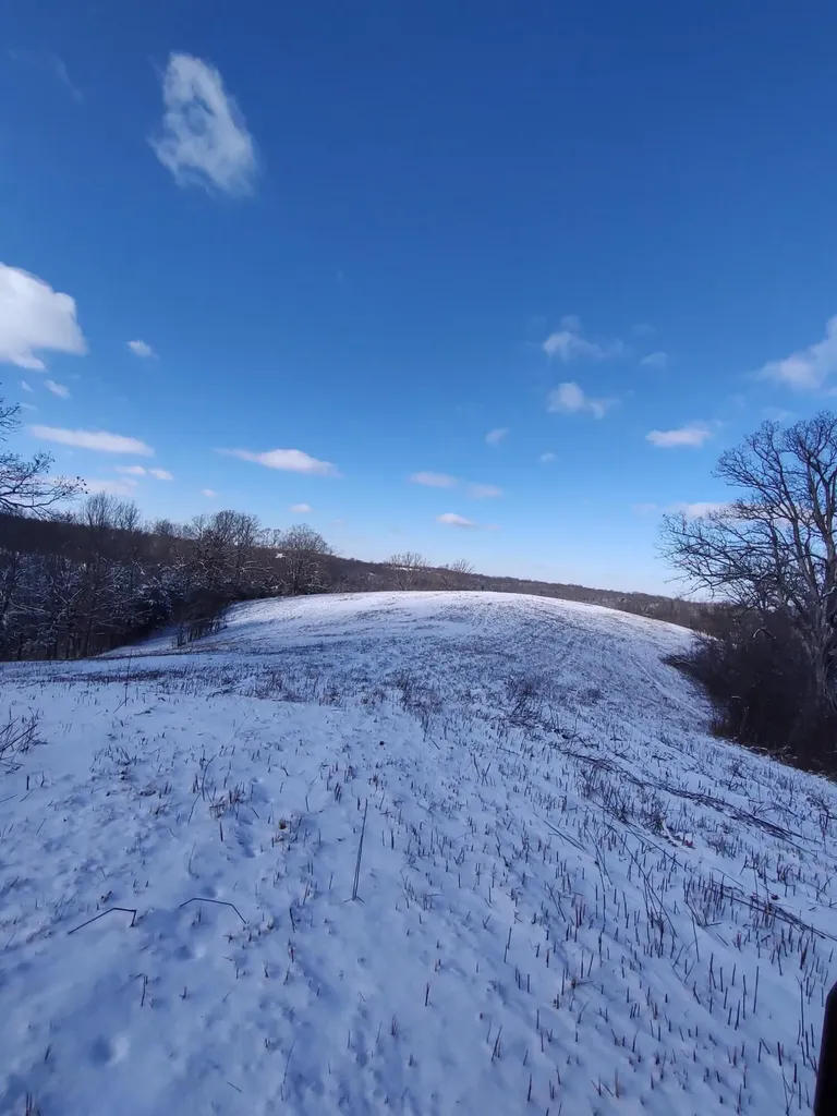 1A Crooked Creek Road Carlisle KY 40311