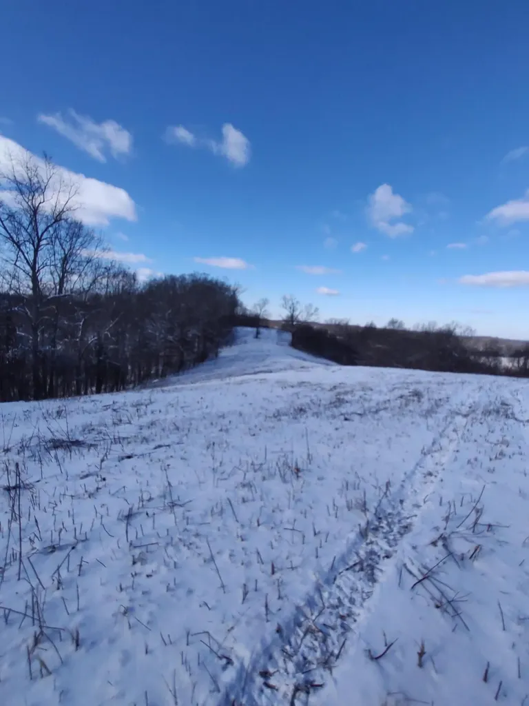 1A Crooked Creek Road Carlisle KY 40311