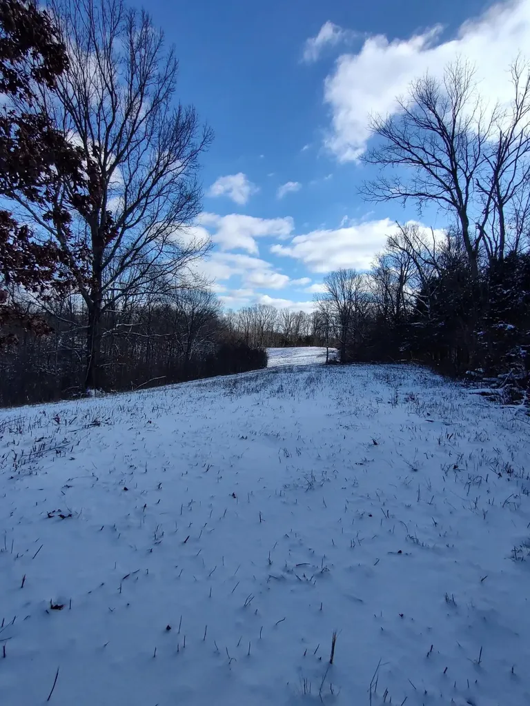 1A Crooked Creek Road Carlisle KY 40311