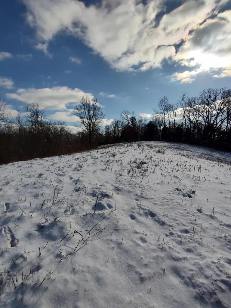 1A Crooked Creek Road Carlisle KY 40311