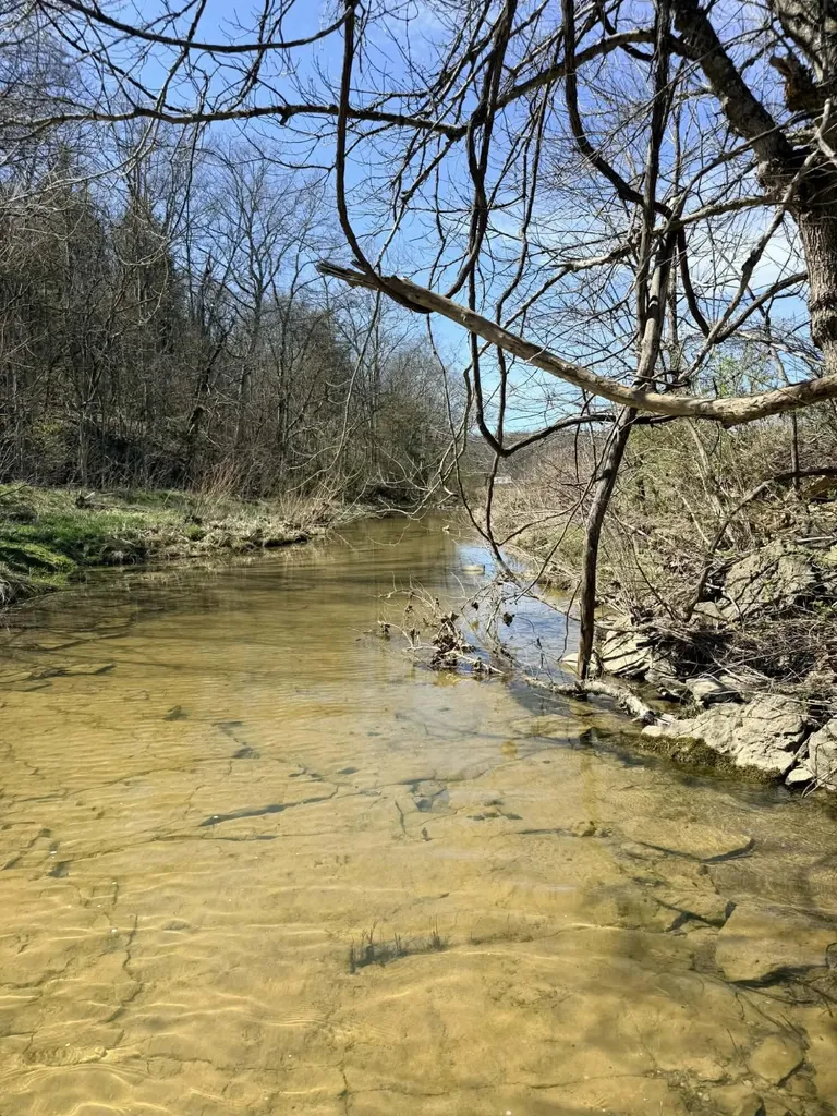 1A Crooked Creek Road Carlisle KY 40311