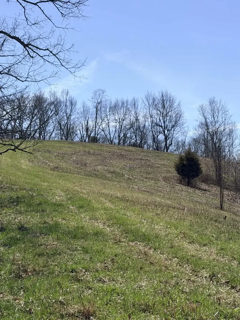 1A Crooked Creek Road Carlisle KY 40311