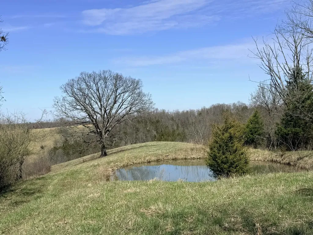 1A Crooked Creek Road Carlisle KY 40311