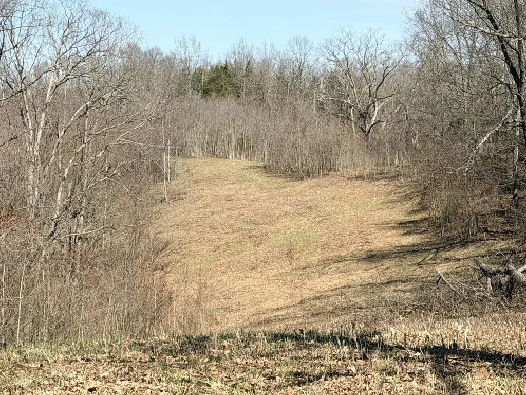 1A Crooked Creek Road Carlisle KY 40311