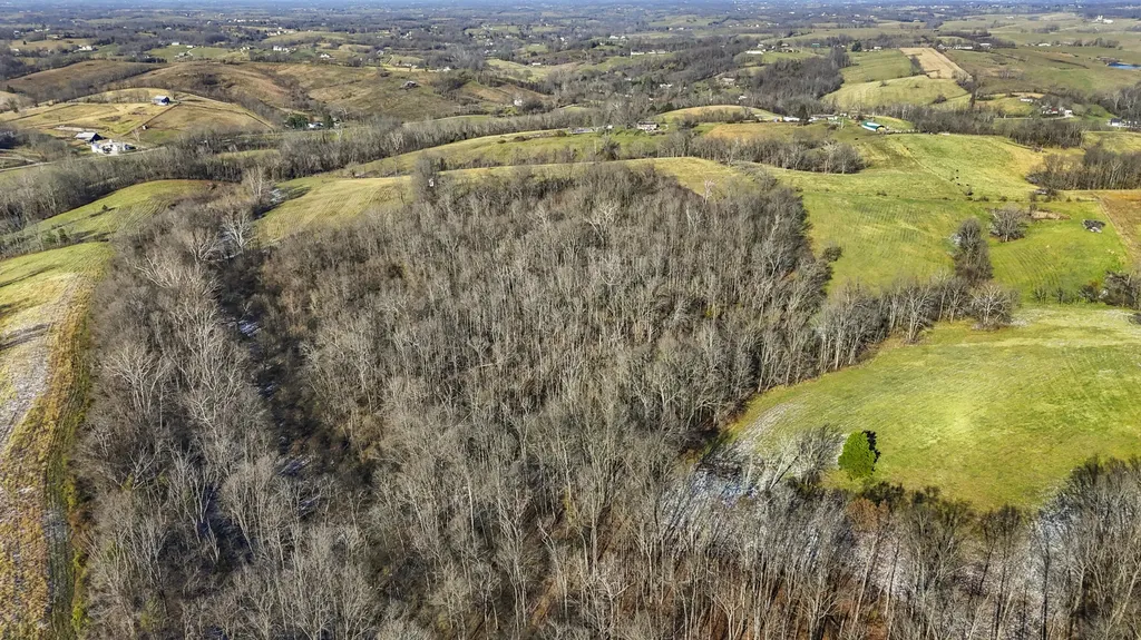 455 Davis Lane Winchester KY 40391