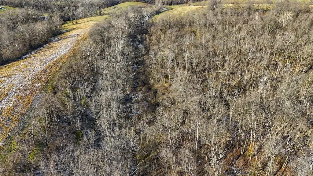 455 Davis Lane Winchester KY 40391