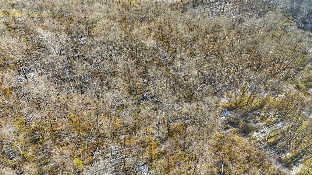 455 Davis Lane Winchester KY 40391
