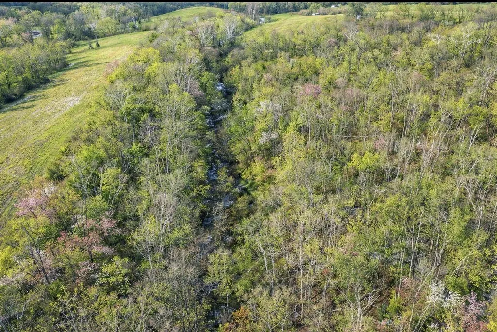 455 Davis Lane Winchester KY 40391