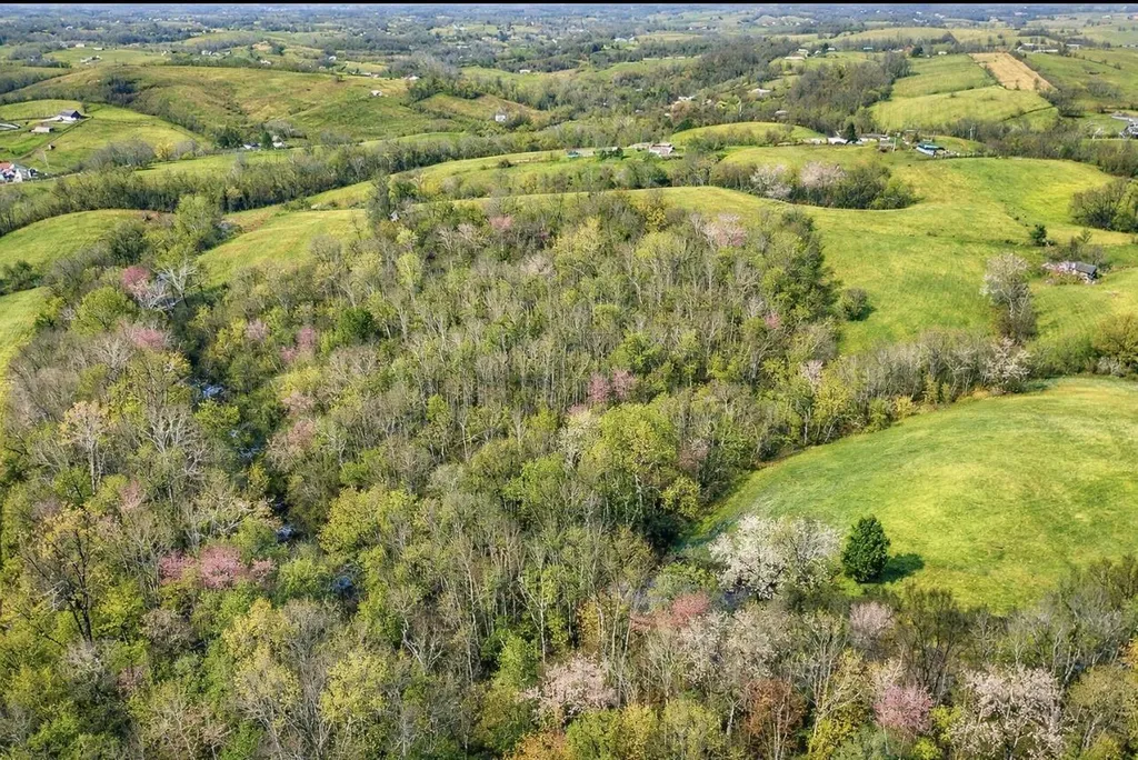 455 Davis Lane Winchester KY 40391
