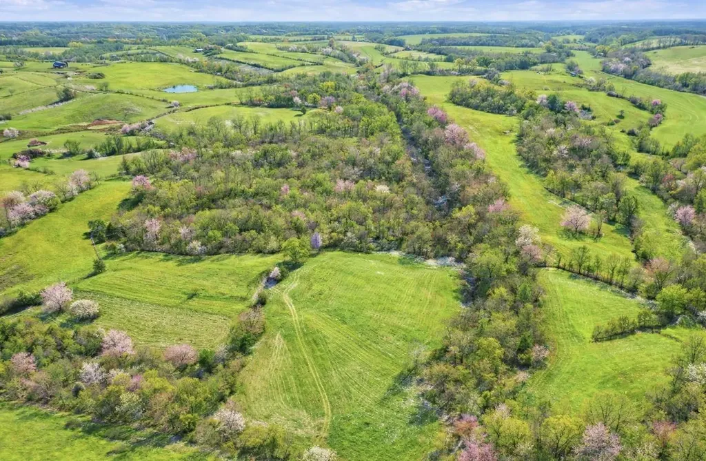 455 Davis Lane Winchester KY 40391