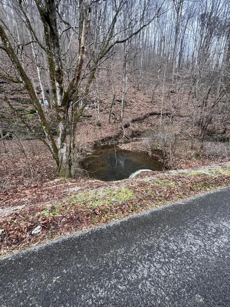0 Hinkle Paynes Creek 215/253 Hinkle KY 40953