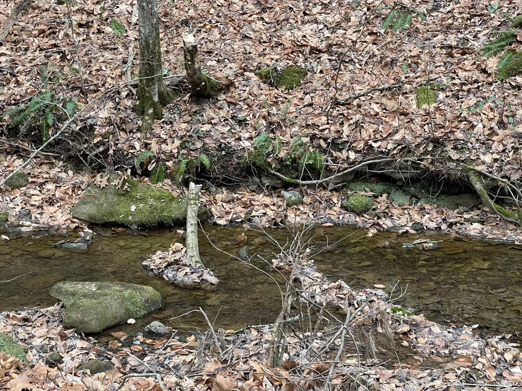 0 Hinkle Paynes Creek 215/253 Hinkle KY 40953