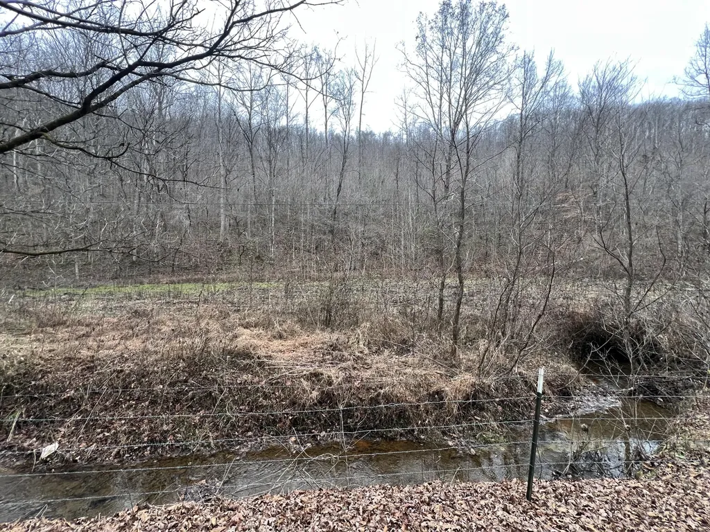 0 Hinkle Paynes Creek 215/253 Hinkle KY 40953