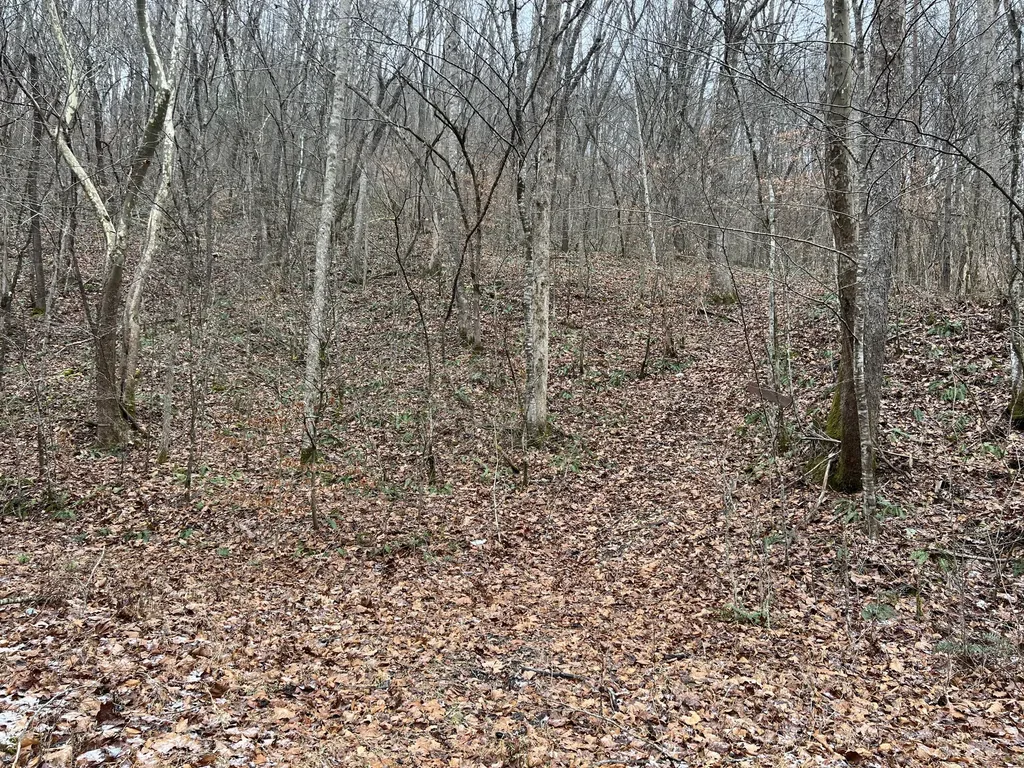 0 Hinkle Paynes Creek 215/253 Hinkle KY 40953