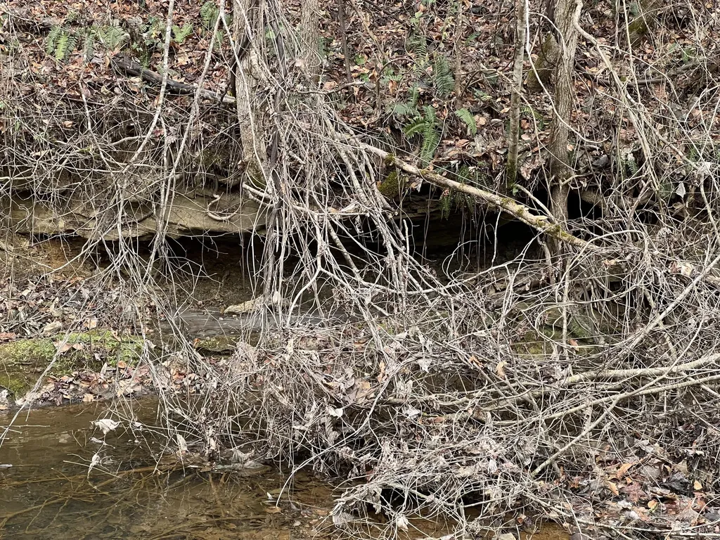 0 Hinkle Paynes Creek 215/253 Hinkle KY 40953