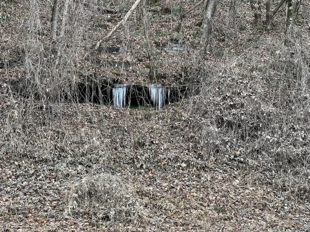 0 Hinkle Paynes Creek 215/253 Hinkle KY 40953