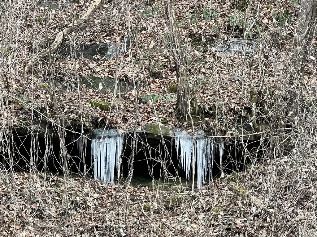 0 Hinkle Paynes Creek 215/253 Hinkle KY 40953