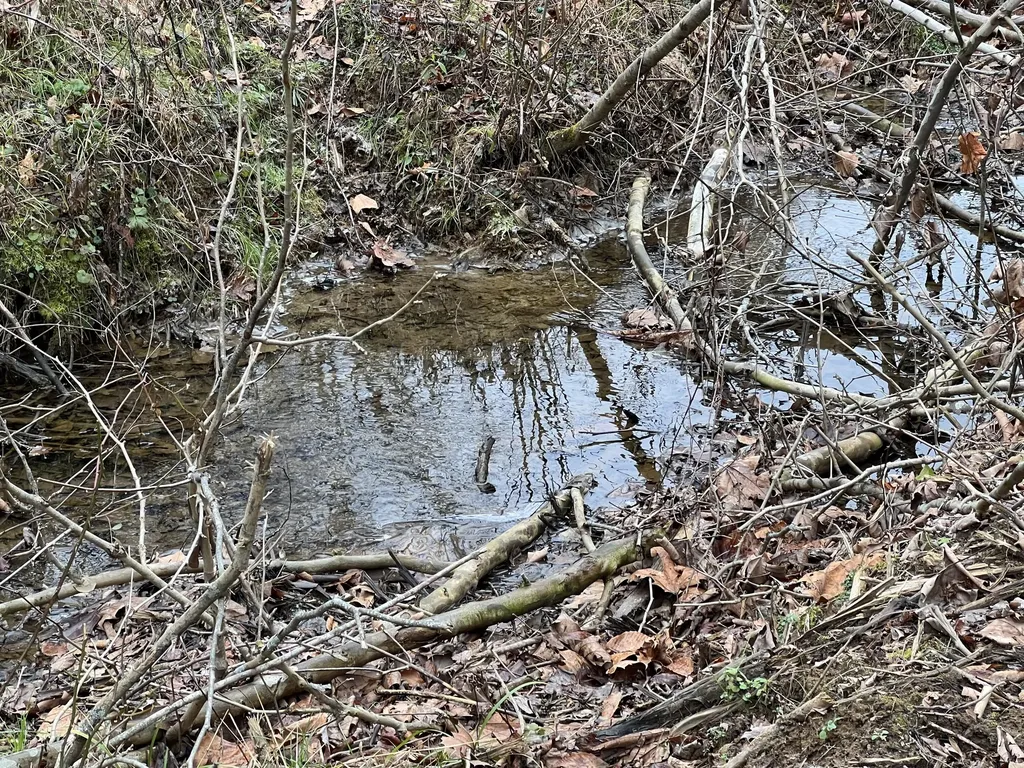 0 Hinkle Paynes Creek 215/253 Hinkle KY 40953