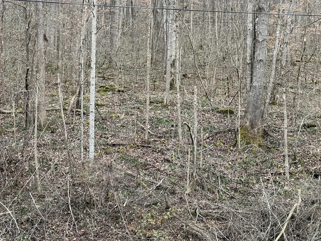 0 Hinkle Paynes Creek 215/253 Hinkle KY 40953