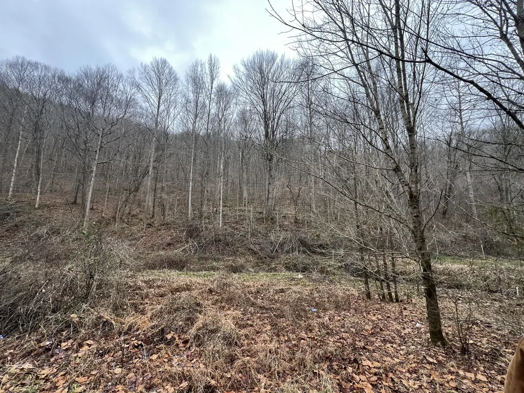 0 Hinkle Paynes Creek 215/253 Hinkle KY 40953