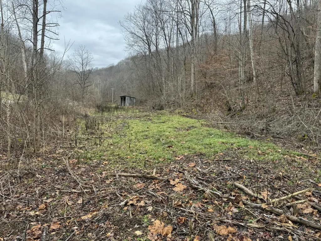 0 Hinkle Paynes Creek 215/253 Hinkle KY 40953