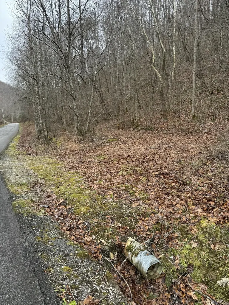 0 Hinkle Paynes Creek 215/253 Hinkle KY 40953