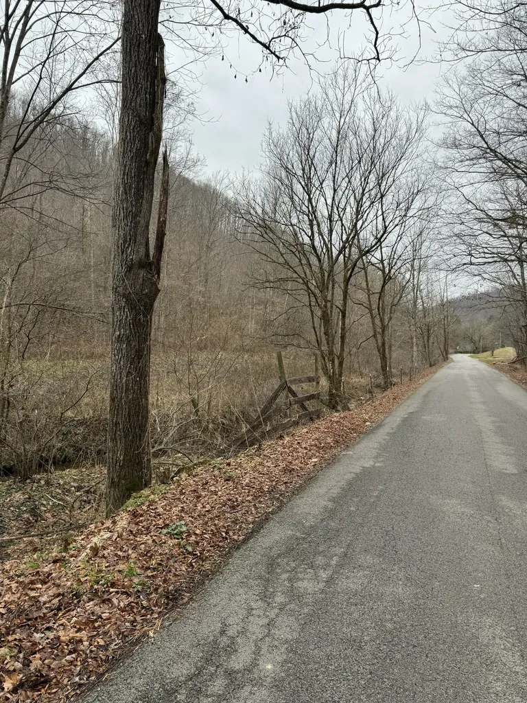 0 Hinkle Paynes Creek 215/253 Hinkle KY 40953